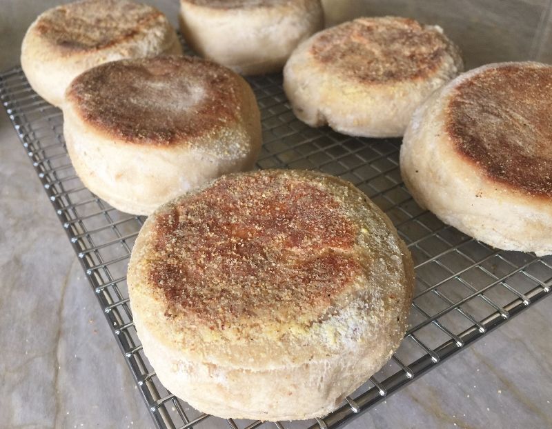 Whole Wheat English Muffins